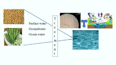Srinivasan et al. demonstrated that plant-based polysaccharides showed better microplastic removal efficiency than polyacrylamide, which is commercially used for water treatment. Image credit: Srinivasan et al., doi: 10.1021/acsomega.4c07476.