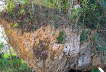 World’s Largest Cliff-Top Boulder Provides Evidence of Ancient Tsunami in Tonga