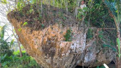 World’s Largest Cliff-Top Boulder Provides Evidence of Ancient Tsunami in Tonga