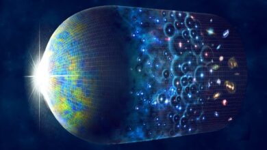 Gravity is Result of Computational Process within Our Universe, Physicist Says