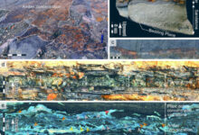 Amber deposit from Shimonakagawa Quarry in northern Hokkaido, Japan. Image credit: Kubota et al., doi: 10.1038/s41598-025-96498-2.
