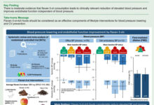 Flavan-3-ol-rich foods and supplements decrease blood pressure in particular in people with high blood pressure when consumed daily similar to medication. Image credit: Lagou et al., doi: 10.1093/eurjpc/zwaf173.