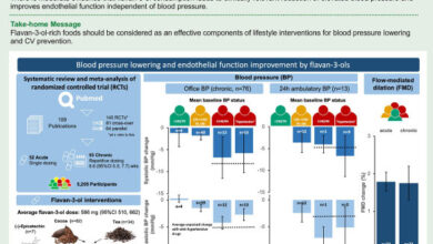 Flavan-3-ol-rich foods and supplements decrease blood pressure in particular in people with high blood pressure when consumed daily similar to medication. Image credit: Lagou et al., doi: 10.1093/eurjpc/zwaf173.