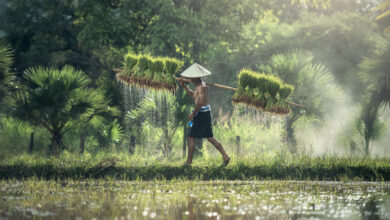 Kim et al. hypothesize that the vast interindividual differences in shift work adaptation -- critical for shift worker health -- can in part be explained by biological mechanisms for seasonal timing. Image credit: Sasin Tipchai.