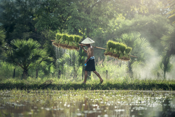 Kim et al. hypothesize that the vast interindividual differences in shift work adaptation -- critical for shift worker health -- can in part be explained by biological mechanisms for seasonal timing. Image credit: Sasin Tipchai.