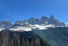 Study location in the Dolomite Mountains in Italy. Image credit: Monica Gagliano / Southern Cross University.