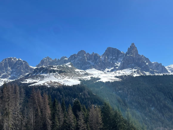 Study location in the Dolomite Mountains in Italy. Image credit: Monica Gagliano / Southern Cross University.