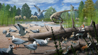 73-Million-Year-Old Fossils Provide Oldest Evidence of Birds Nesting at Polar Latitudes