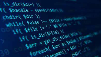 Ox Security capta US$ 60M para escanear vulnerabilidades em código
