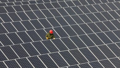 Google fecha acordo de R$ 1 bilhão em energia solar para data centers