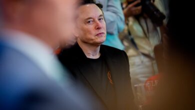 Grok AI de Elon Musk gera críticas em review geek
