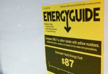 Trump admin cancela programa Energy Star e afeta economia-verde dos EUA