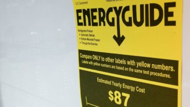 Trump admin cancela programa Energy Star e afeta economia-verde dos EUA