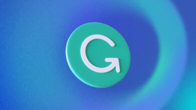 Grammarly capta US$ 1 bi em fundo não dilutivo