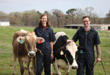 Hoofprint Biome melhora nutrição bovina e reduz metano em cleantech carbono-zero