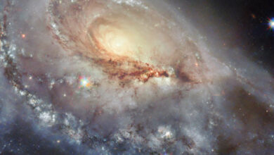 This Hubble image shows the spiral galaxy NGC 1961. Image credit: NASA / ESA / Hubble / J. Dalcanton / R.J. Foley, UC Santa Cruz / C. Kilpatrick.