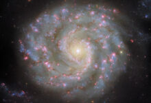 This Hubble image shows NGC 3596, an intermediate spiral galaxy some 90 million light-years away in the constellation of Leo. The color image is made up of observations from Hubble’s Wide Field Camera 3 WFC3) in the ultraviolet, near-infrared, and optical parts of the spectrum. It is based on data obtained through six filters. The color results from assigning different hues to each monochromatic image associated with an individual filter. Image credit: NASA / ESA / Hubble / D. Thilker.