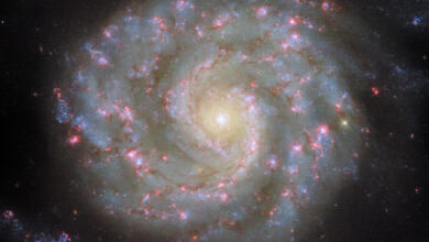 This Hubble image shows NGC 3596, an intermediate spiral galaxy some 90 million light-years away in the constellation of Leo. The color image is made up of observations from Hubble’s Wide Field Camera 3 WFC3) in the ultraviolet, near-infrared, and optical parts of the spectrum. It is based on data obtained through six filters. The color results from assigning different hues to each monochromatic image associated with an individual filter. Image credit: NASA / ESA / Hubble / D. Thilker.