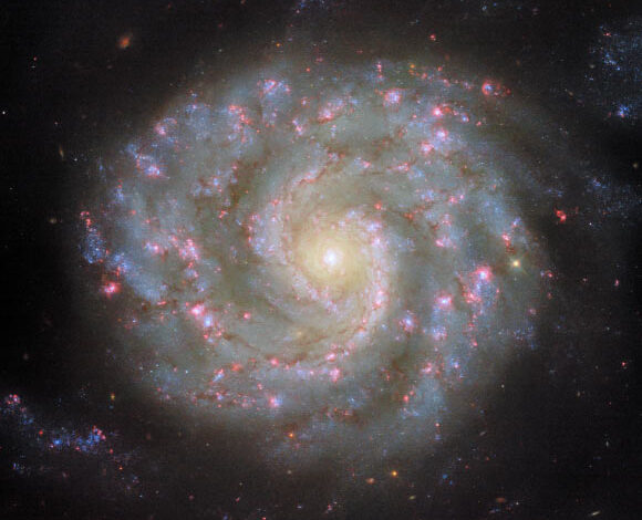 This Hubble image shows NGC 3596, an intermediate spiral galaxy some 90 million light-years away in the constellation of Leo. The color image is made up of observations from Hubble’s Wide Field Camera 3 WFC3) in the ultraviolet, near-infrared, and optical parts of the spectrum. It is based on data obtained through six filters. The color results from assigning different hues to each monochromatic image associated with an individual filter. Image credit: NASA / ESA / Hubble / D. Thilker.