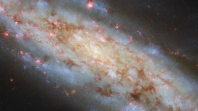 This Hubble image shows NGC 3511, an intermediate spiral galaxy some 43 million light-years away in the constellation of Crater. Image credit: NASA / ESA / Hubble / D. Thilker.
