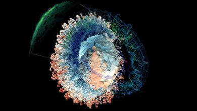 NASA permite imprimir em 3D supernova realista a partir de imagens Chandra