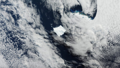 Satélite fotografa maior iceberg no Atlântico Sul em órbita