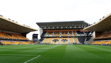 Wolverhampton busca vitória contra Brighton na Premier League