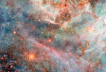 This Hubble image shows a portion of a colorful nebula in the Large Magellanic Cloud, a dwarf galaxy located 160,000 light-years away from Earth in the constellations of Dorado and Mensa. Image credit: NASA / ESA / Hubble / C. Murray.