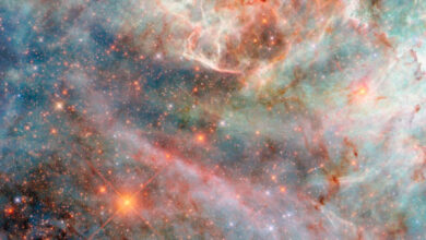 This Hubble image shows a portion of a colorful nebula in the Large Magellanic Cloud, a dwarf galaxy located 160,000 light-years away from Earth in the constellations of Dorado and Mensa. Image credit: NASA / ESA / Hubble / C. Murray.