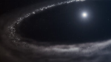 Webb Detects Crystalline Water Ice in Debris Disk around Young, Sun-Like Star