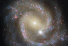 This Hubble image shows NGC 3507, a barred spiral galaxy located 46 million light-years away in the constellation of Leo. Image credit: NASA / ESA / Hubble / D. Thilker.