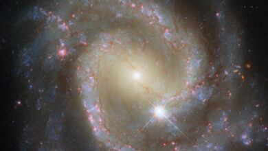 This Hubble image shows NGC 3507, a barred spiral galaxy located 46 million light-years away in the constellation of Leo. Image credit: NASA / ESA / Hubble / D. Thilker.