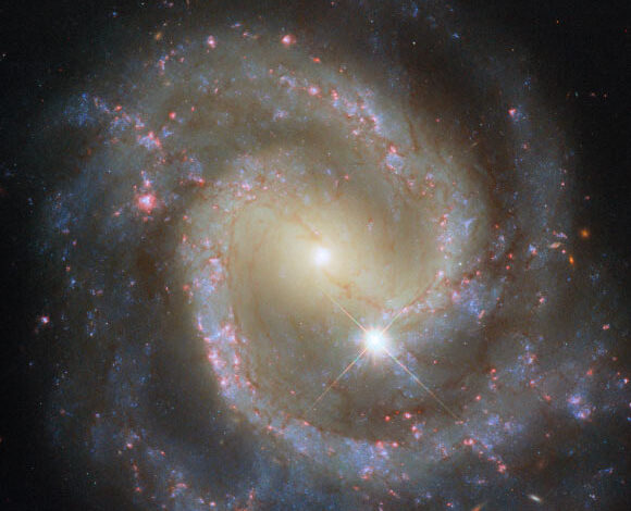 This Hubble image shows NGC 3507, a barred spiral galaxy located 46 million light-years away in the constellation of Leo. Image credit: NASA / ESA / Hubble / D. Thilker.