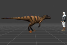 Life reconstruction of the trackmaker based on Yutyrannus and shown to scale with a 175-cm-tall human model. Image credit: Anthony Romilio & Lida Xing, doi: 10.3390/geosciences15050165.