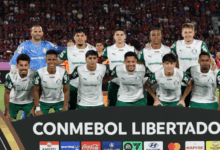 Palmeiras assegura vitória e premiação milionária na Libertadores