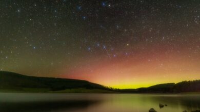 NASA observa estrelas brilhantes da primavera no oriente
