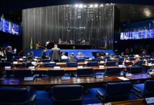 PDT no Senado confirma apoio ao governo Lula no Congresso