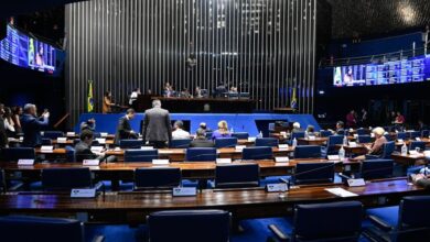 PDT no Senado confirma apoio ao governo Lula no Congresso