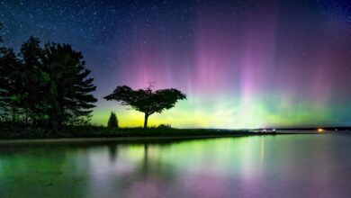 NASA prevê auroras até Alabama e Califórnia por tempestade geomagnética