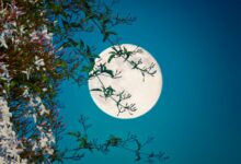 NASA observa superlua Flower Moon 2025 e satélite em órbita no dia 12 de maio