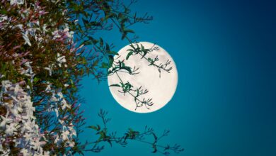 NASA observa superlua Flower Moon 2025 e satélite em órbita no dia 12 de maio