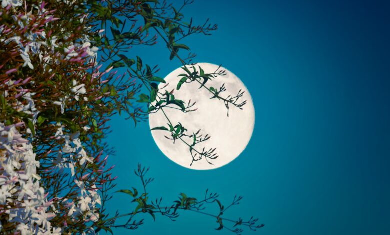 NASA observa superlua Flower Moon 2025 e satélite em órbita no dia 12 de maio