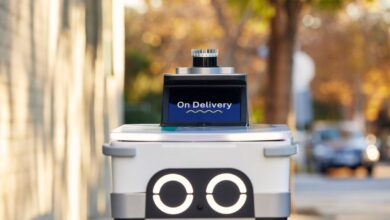 Serve lança aposta em delivery e acesso a mercados para scale-up