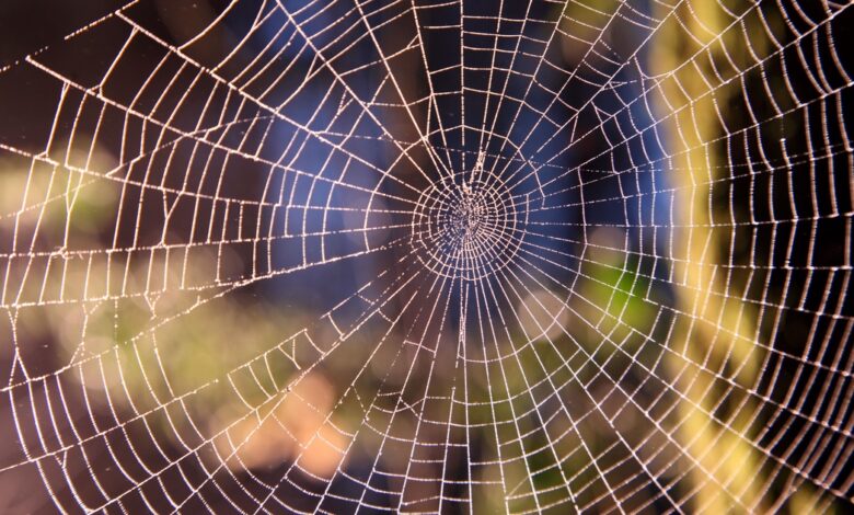 Venom Spider lança ataque phishing contra gestores de RH