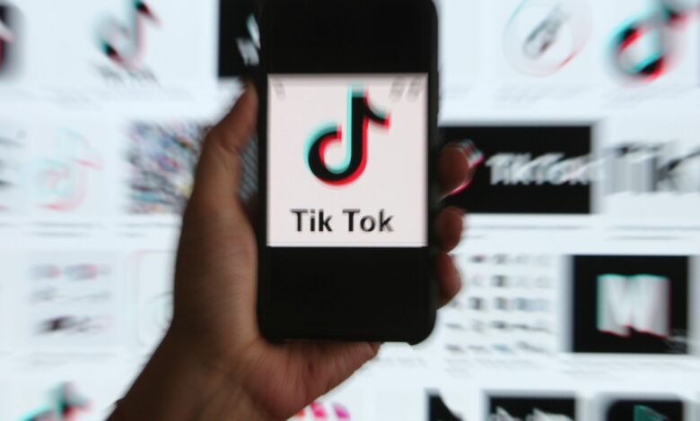TikTok recebe multa de €530 milhões por vazamento de dados