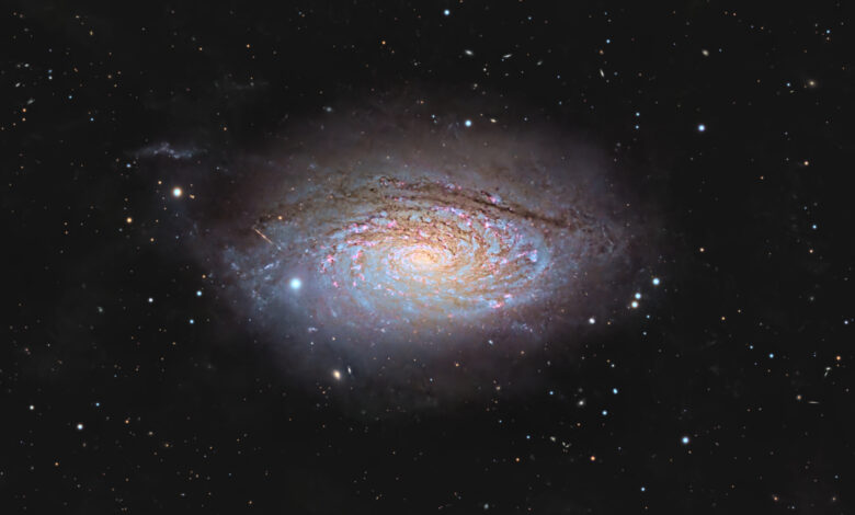 Astrofotógrafo captura imagem de galáxia em órbita