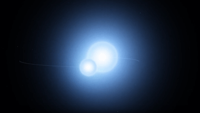 Astrônomos descobrem órbita singular em sistema de estrelas duplas