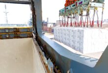 Eldorado Brasil amplia lucro 50% em meio a investimento crescente