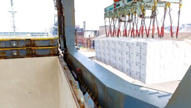 Eldorado Brasil amplia lucro 50% em meio a investimento crescente