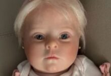 Congresso propõe multa de R$ 30 mil para fila com bebê reborn